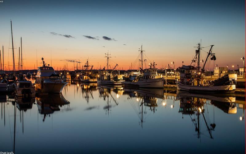 Marina dock boats